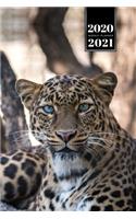 Panther Leopard Cheetah Cougar Week Planner Weekly Organizer Calendar 2020 / 2021 - Attentive Look