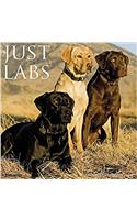 Just Labs 2018 Calendar