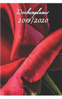 Wochenplaner 2019-2020
