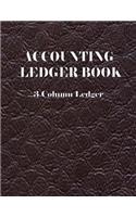 Accounting Ledger Book