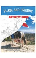 Flash & Friends Activity Book