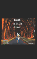 Such A Little Time