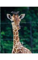 2019 Weekly and Monthly Planner