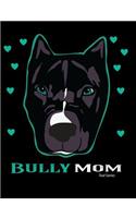 Bully Mom Teal Series