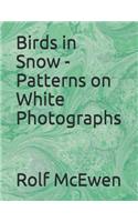 Birds in Snow - Patterns on White Photographs