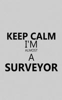 Keep Calm I'm Almost a Surveyor