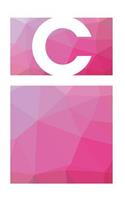 C Initial Notebook