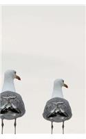 Seagulls in a Line Notebook