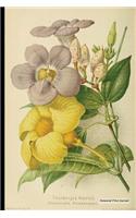Botanical Print Journal