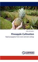 Pineapple Cultivation