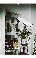 This is a Calendar with Images of Jumping Cats: By Daniel Gebhart de Koekkoek