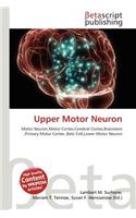 Upper Motor Neuron