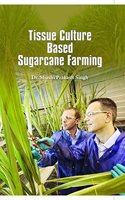 Tissue Culture Based Sugarcane Farming