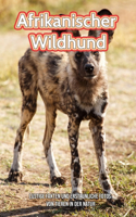 Afrikanischer Wildhund