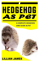 Hedgehog as Pet