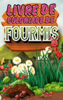 Livre de coloriage de fourmis