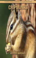 Chipmunks: An Amazing Animal Picture Book about Chipmunks for Kids