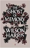 Ghost of Memory
