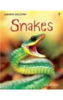 Discovery Snakes