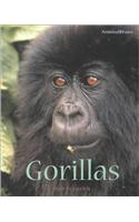 Gorillas