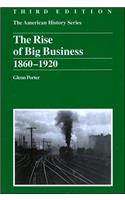 The Rise of Big Business