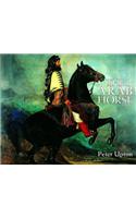 The Arab Horse