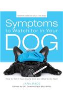 Symptoms to Watch for in Your Dog