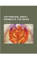 The Principal Insect Enemies of the Grape: (English)