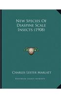 New Species Of Diaspine Scale Insects (1908)