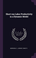 Short run Labor Productivity in a Dynamic Model