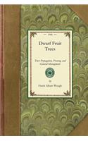 Dwarf Fruit Trees: (Gardening in America)