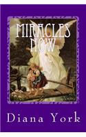 Miracles Now