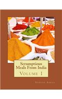 Scrumptious Meals From India Volume 1