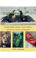 Creatures Great and Small