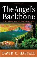 Angel's Backbone