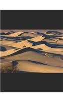 Beautiful Sand Dunes in Death Valley