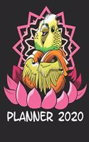 Planner 2020