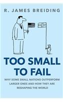 Too Small to Fail: Why Small Nations Outperform Larger Ones and How They Are Reshaping the World