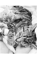 Composition Notebook: Cute Tabby Kitten Composition Book, Tabby Cat Journal, 7.44" x 9.69" 150 Pages College Ruled