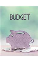 Budget Workbook: 12 Month Budget Planner Book, Budget Organizer Journal Notebook Finance Planner, Money Organizer, Debt Tracker