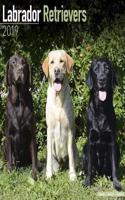 Labrador Retrievers Calendar 2019