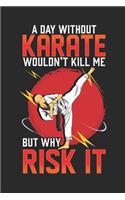 A Day Without Karate Wouldn't Kill Me But Why Risk It