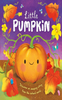 Nature Stories: Little Pumpkin-Discover an Amazing Story from the Natural World