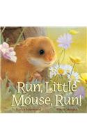 Run, Little Mouse, Run!