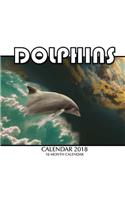 Dolphins Calendar 2018: 16 Month Calendar
