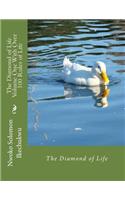 The Diamond of Life Volume One With Over 100 Rules of Life