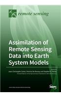 Assimilation of Remote Sensing Data into Earth System Models