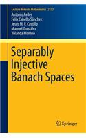 Separably Injective Banach Spaces