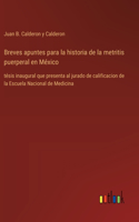Breves apuntes para la historia de la metritis puerperal en México