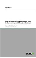 Untersuchung auf Praxisbetrieben zum Vorkommen von subklinischen Ketosen